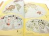 GEOGRAFICZNY ATLAS ŚWIATA. CZĘŚĆ I 1987