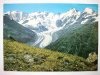 BERNINAGRUPPE UND MORTERATSCHGLETSCHER IN DER PARADIES HÜTTE AUS