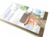 KRÓTKIE PANOWANIE PEPINA IV - John Steinbeck 1994