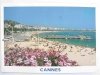 CANNES. ALPES-MARITIMES
