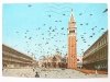 VENEZIA. PIAZZA S. MARCO – VOLO DI COLOMBI