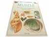PATRZĘ PODZIWIAM POZNAJĘ MUSZLE - Alex Arthur 1991