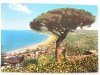 VASTO MARINA
