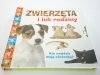 ZWIERZĘTA I ICH RODZINY 2011