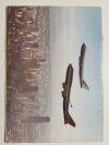 LOTNICTWO NR 14 16-31 LIPCA 1993