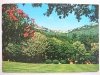 MONTECATINI TERME. IL PARCO