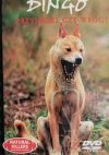 DVD. NATURAL KILLERS TOM 16. DINGO PRZYJACIEL CZY WRÓG