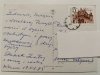 KOMPOZYCJA KWIATOWA NR.4 FOT. K. PIĄTEK
