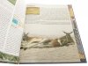 WIELKA ENCYKLOPEDIA ZWIERZĄT. SSAKI 