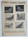 HODOWCA GOŁĘBI POCZTOWYCH NR 2 1962