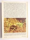 PRZEWODNIK ZIOŁOLECZNICTWA LUDOWEGO 1986