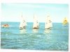 CATTOLICA. SAILS IN SEA