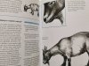 Rysowanie zwierząt z fotografii - Gerhard Worner 2005