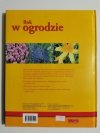 ROK W OGRODZIE. WSZYSTKIE WAŻNE PRACE OD STYCZNIA DO GRUDNIA 