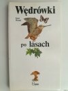 WĘDRÓWKI PO LASACH - Karel Stasny