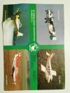 SKRZYDLATA POLSKA FRIEDRICHSHAFEN '97