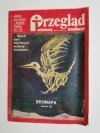 PRZEGLĄD TECHNICZNY INNOWACJE NR 47 22.11.1981