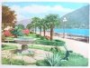 SALUTI DAL TICINO