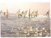 REGATES DE PLANCHES A VOILE