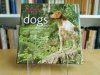 Dogs A-G Eukanuba 2009