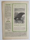 HODOWCA GOŁĘBI POCZTOWYCH NR 12 1967