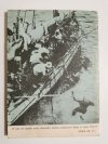 MINIATURY MORSKIE. ŁZY OCEANU - Stanisław Bernatt 1962