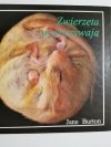 ZWIERZĘTA WYPOCZYWAJĄ - Jane Burton 1991