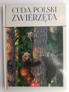 CUDA POLSKI. ZWIERZĘTA