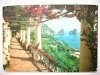 CAPRI. I FARAGLIONI VISTI DA UNA VILLA CAPRESE