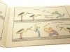 NOWA WYPRAWA GUCIA I CEZARA CZĘŚĆ 4 1969