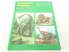 TAJEMNICE ZWIERZĄT. PREHISTORIA - Michel Cuisin 1990