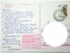 SAMOTNE DRZEWO FOT. ANDRZEJ STACHURSKI