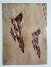 LOTNICTWO NR 18 1993