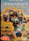 DVD. NATURAL KILLERS TOM 22. SIEDEM WSPANIAŁYCH ŻYCIE W AFRYCE