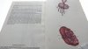 MAŁY ATLAS ANATOMICZNY - Witold Sylwanowicz 1984