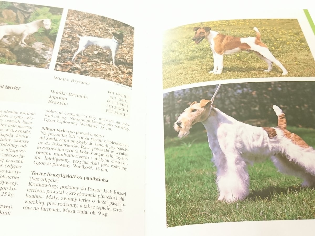 Rasy Psow Eva Maria Kramer 1998 Zwierzeta Domowe I Hodowlane