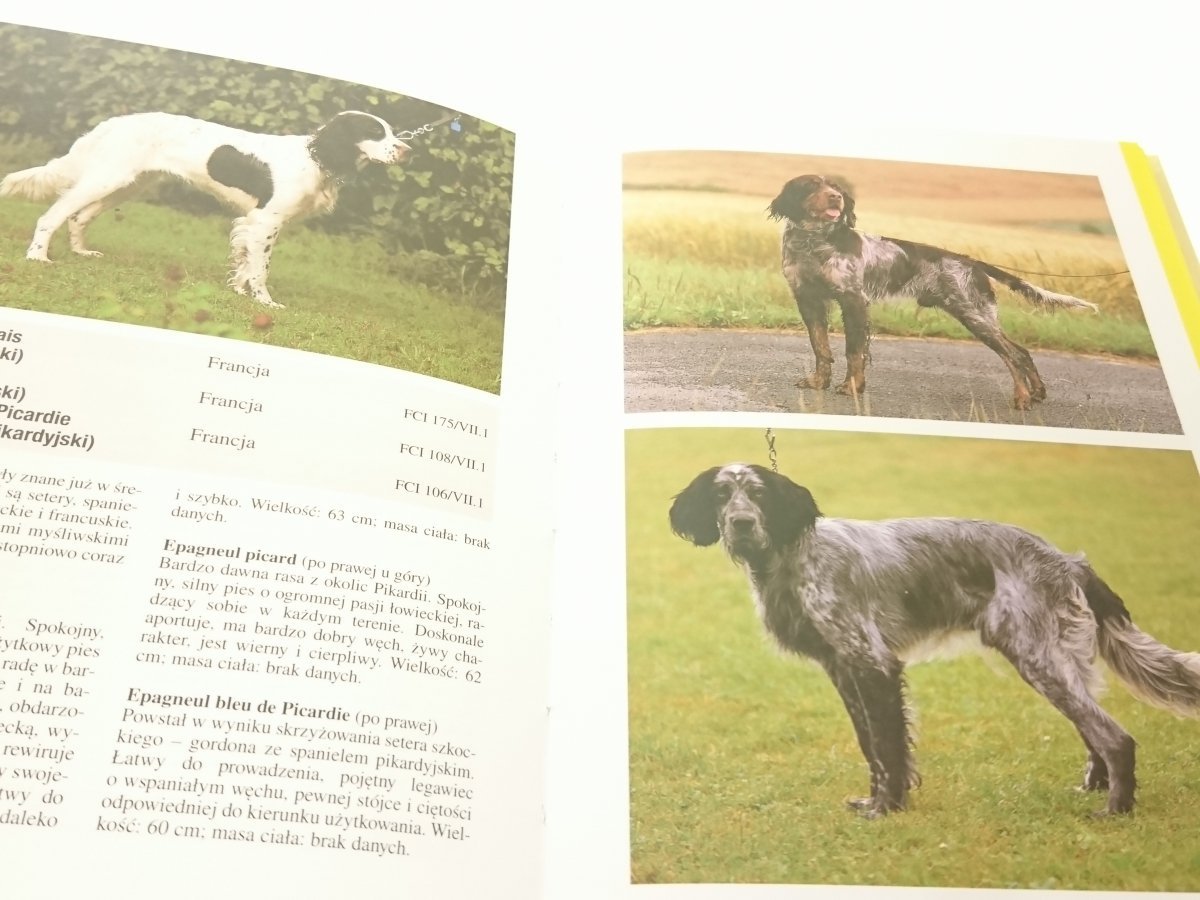 Rasy Psow Eva Maria Kramer 1998 Zwierzeta Domowe I Hodowlane