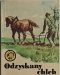 ŻÓŁTY TYGRYS. ODZYSKANY CHLEB - Aleksandra Wójtowicz