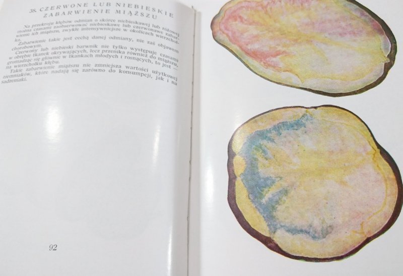 ATLAS CHORÓB I SZKODNIKÓW ZIEMNIAKA - Hinfner 1971