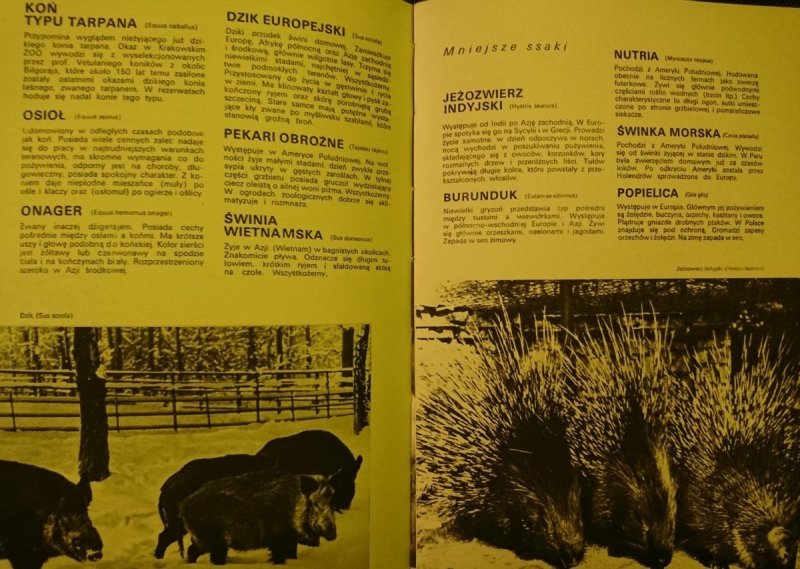 ZOO KRAKOWSKIE - Stanisław Czerny