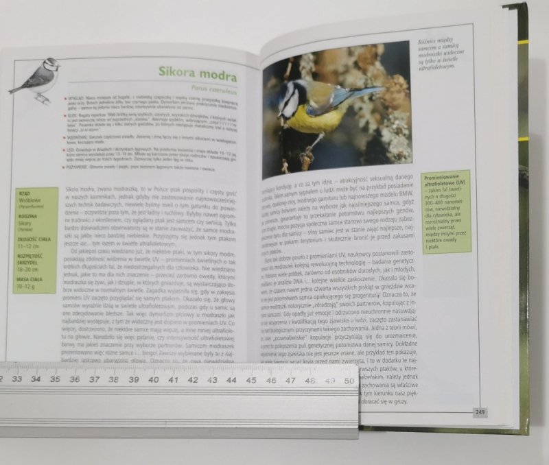 PTAKI. PROFESJONALNY PRZEWODNIK DLA POCZĄTKUJĄCYCH - Dariusz Graszka-Petrykowski