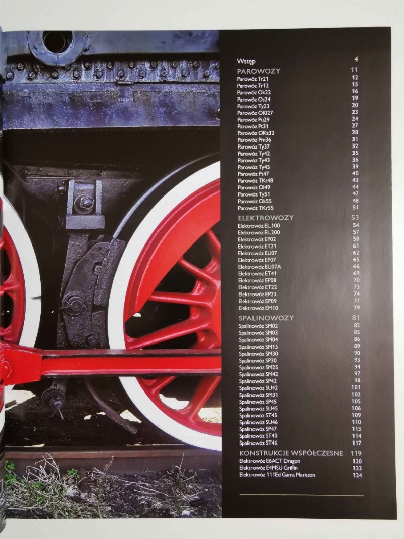 LOKOMOTYWY. POLSKIE KONSTRUKCJE - Tadeusz Irteński 2013