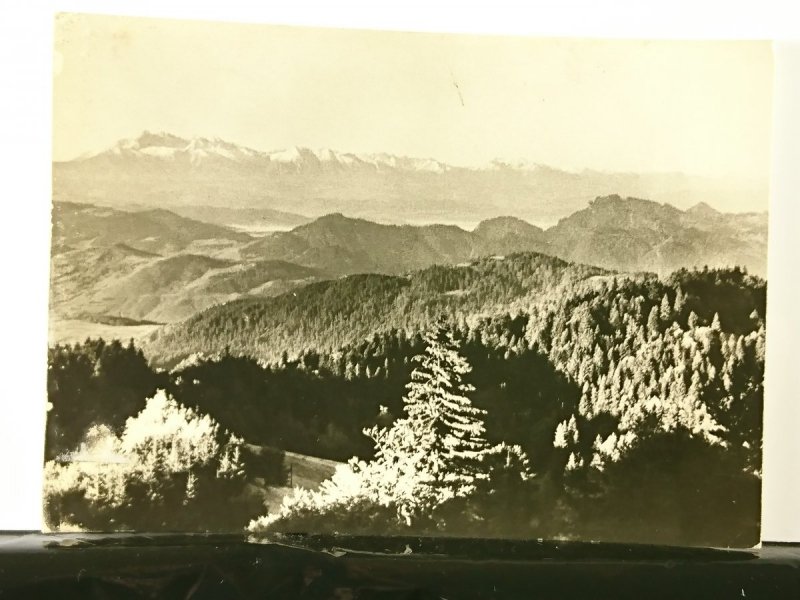 BESKID SĄDECKI. PRZEHYBA 1175m
