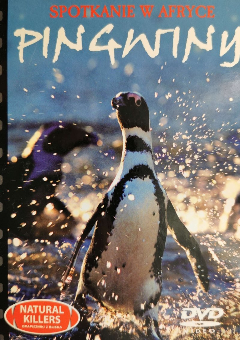 DVD. NATURAL KILLERS TOM 13. PINGWINY SPOTKANIE W AFRYCE