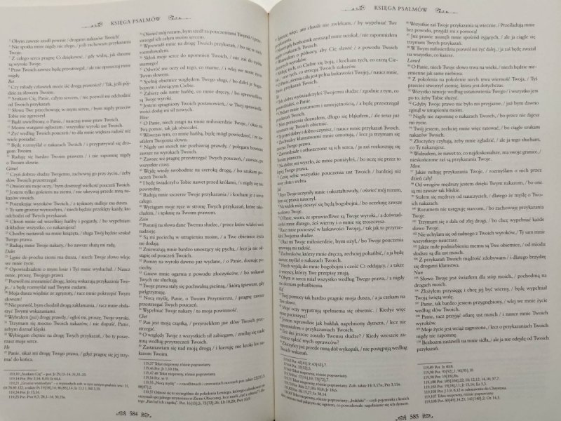 BIBLIA Z KOMENTARZAMI JANA PAWŁA II