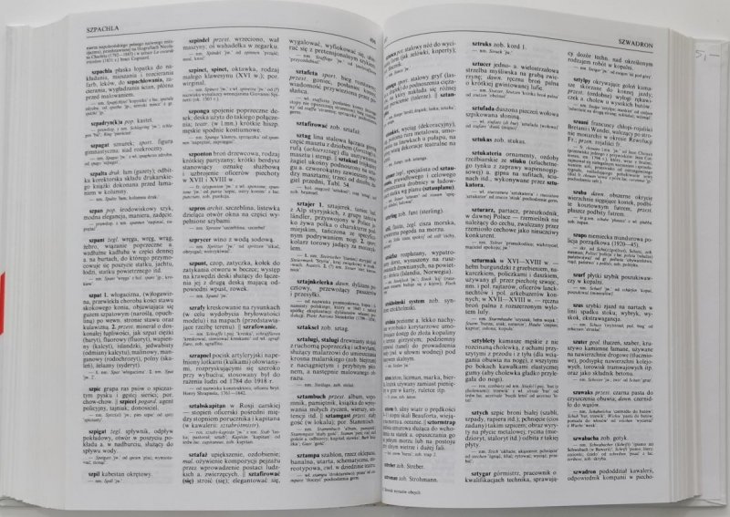 SŁOWNIK WYRAZÓW OBCYCH - Władysław Kopaliński