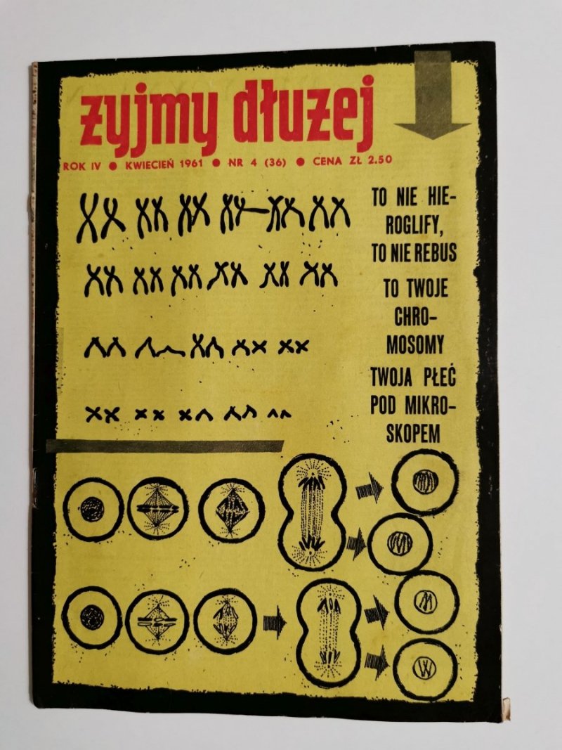 ŻYJMY DŁUŻEJ ROK IV KWIECIEŃ 1961 NR 4 (36)