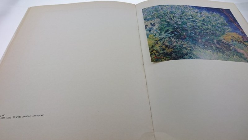 WIELCY MALARZE ŚWIATA. VAN GOGH Nina Kalitina 1974