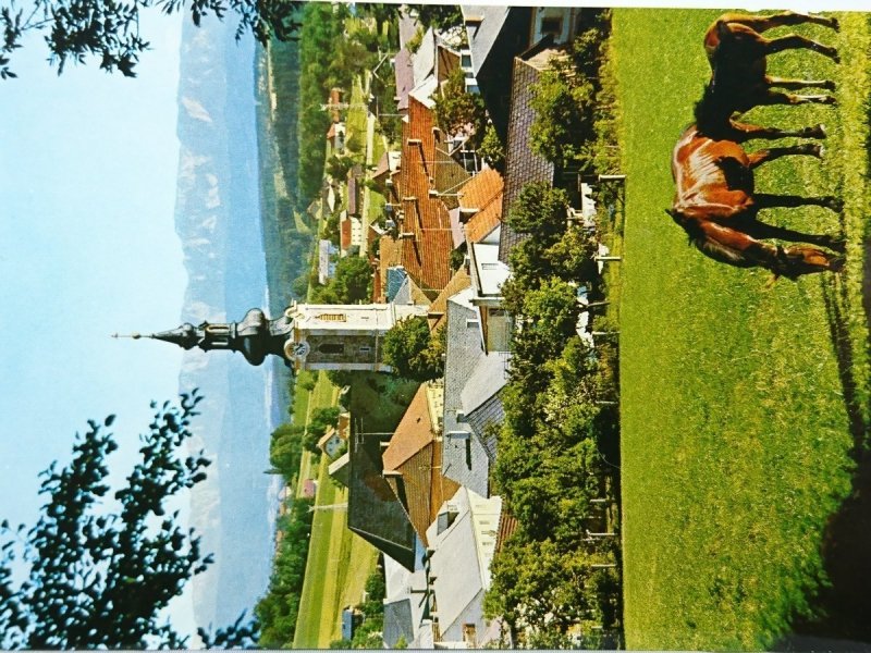 DAS REITERDORF IM HAUSRUCKWALD