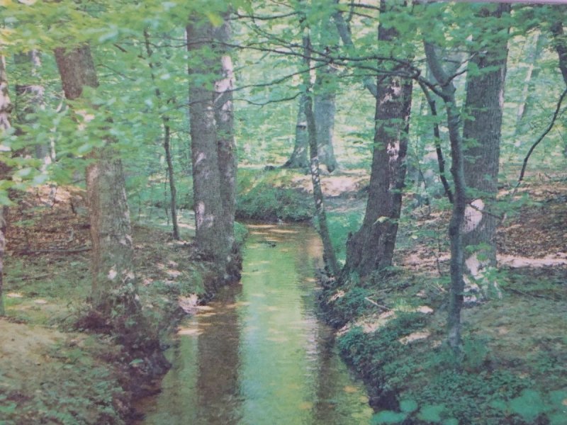WOLIŃSKI PARK NARODOWY. FOT. MARKIEWICZ